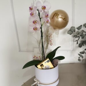 Presente Box Orquídea